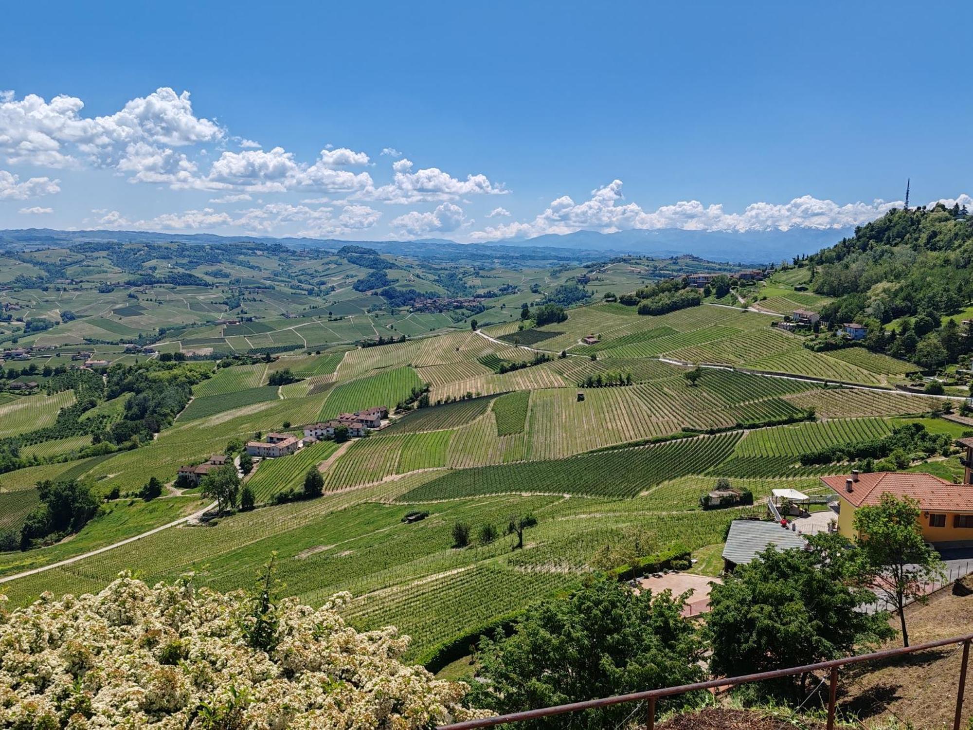 Ferienwohnung Tour In Langhe La Morra Exterior foto